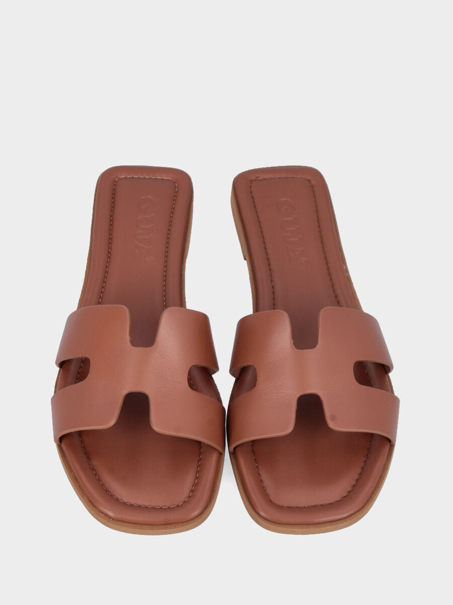 mule