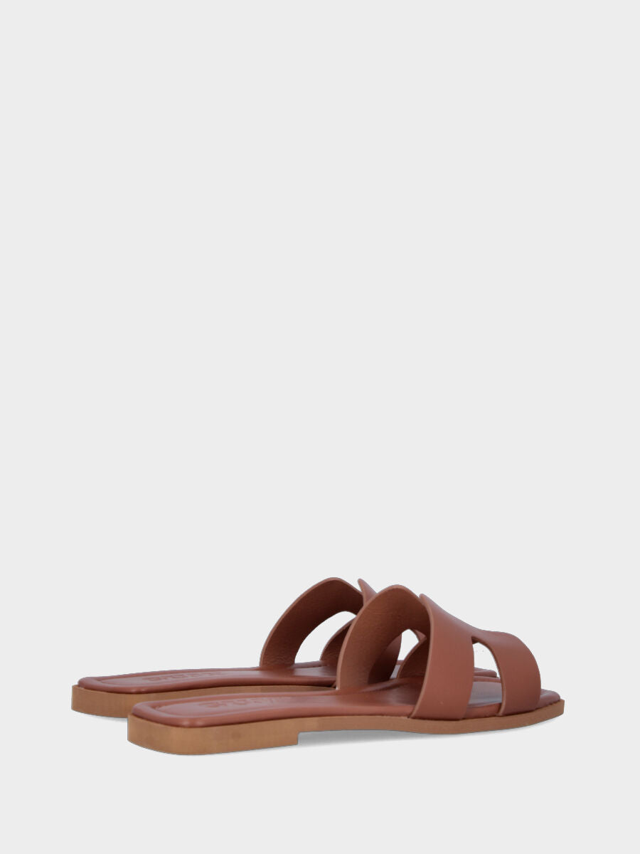 mule